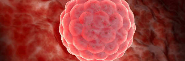 Quels sont les symptômes de nidation ? 