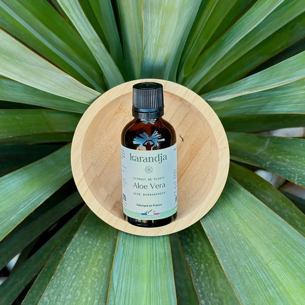 macérât huileux aloe vera karandja produit