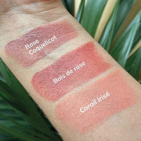 stick blush coloris